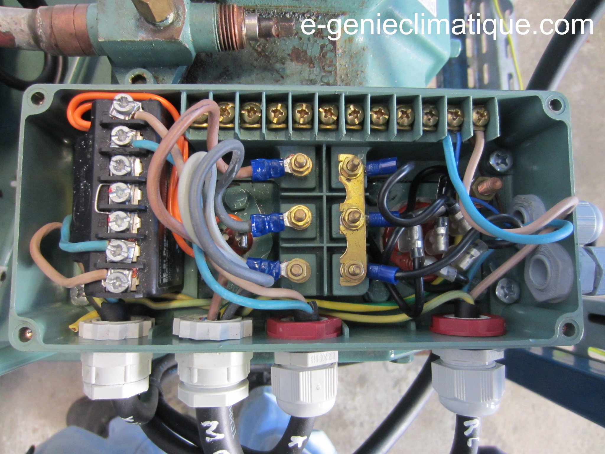 Froid19 Montage 3 Chambre Froide Negative Partie Electrique